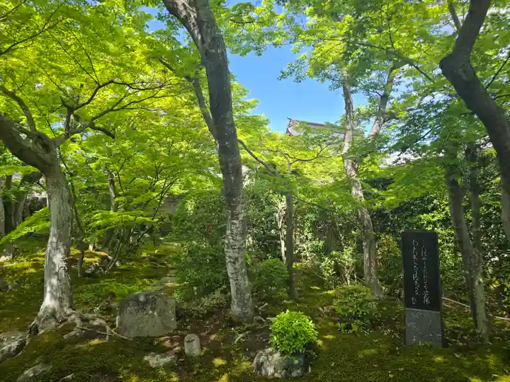 宝青院(京都府)