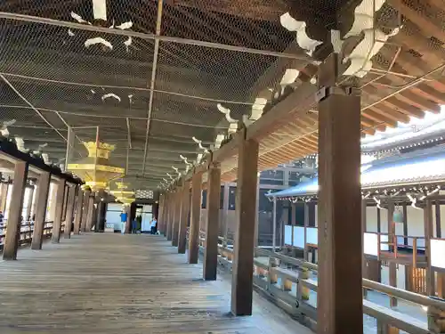 本願寺（西本願寺）(京都府)