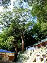 諏訪神社の建物その他