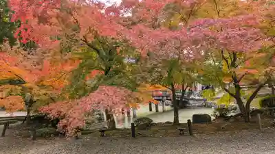 知恩院(京都府)