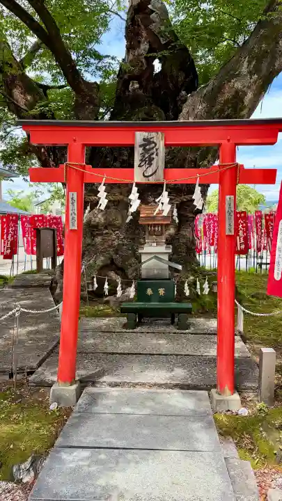 秩父今宮神社(埼玉県)