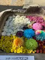 松應寺(愛知県)