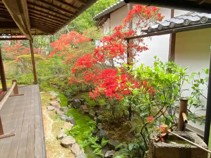 大雄院(京都府)