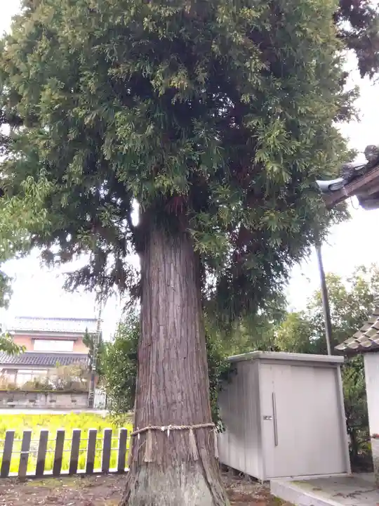 神明神社(福井県)