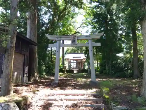 八幡神社（白山神社）の{uncategorized: "未分類", other: "その他", undefined: "問題あり", building: "その他建物", grave: "お墓", sacred_gate: "鳥居", guardian: "狛犬", statue: "像", buddha: "仏像", history: "歴史", nature: "自然", garden: "庭園", animal: "動物", pagoda: "塔", temizu: "手水舎", mountain_gate: "山門・神門", sanctuary: "本殿・本堂", subordinate: "末社・摂社", art: "芸術", scenery: "景色", jizo: "地蔵", ema: "絵馬", goshuin: "御朱印", omikuji: "おみくじ", items: "授与品その他", amulet: "お守り", goshuincho: "御朱印帳", eats: "食事", festival: "お祭り", votive_dance: "神楽", shichigosan: "七五三参", wedding: "結婚式", experience: "体験その他", initially: "初詣", around: "周辺", anti_infection: "感染症対策"}