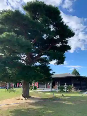 潮音寺(茨城県)