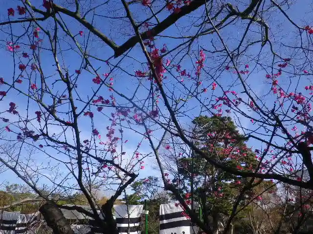 鶴岡八幡宮の自然