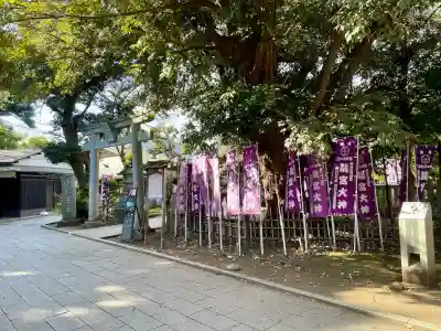 龍宮（江島神社）(神奈川県)