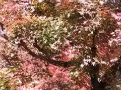 長壽寺（長寿寺）(神奈川県)