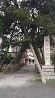 荏柄天神社のその他建物