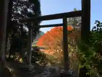天照神社の鳥居