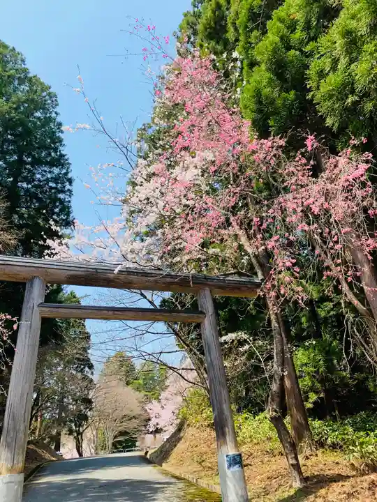 土津神社|こどもと出世の神さまの鳥居