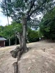 杵築神社(奈良県)