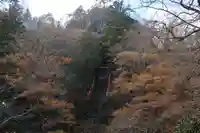 徳善院明王密寺の本殿・本堂