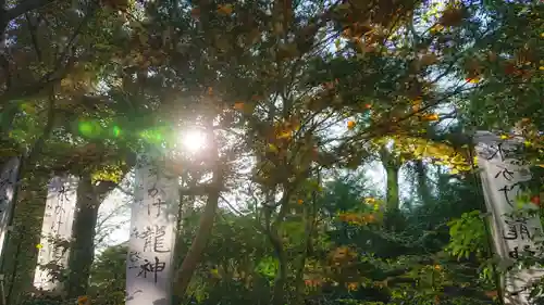 若宮神明社の景色