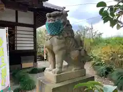 佐野原神社の狛犬