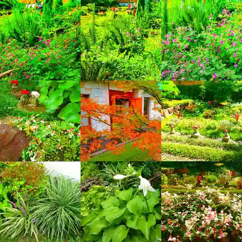 寿量山　速成寺の自然