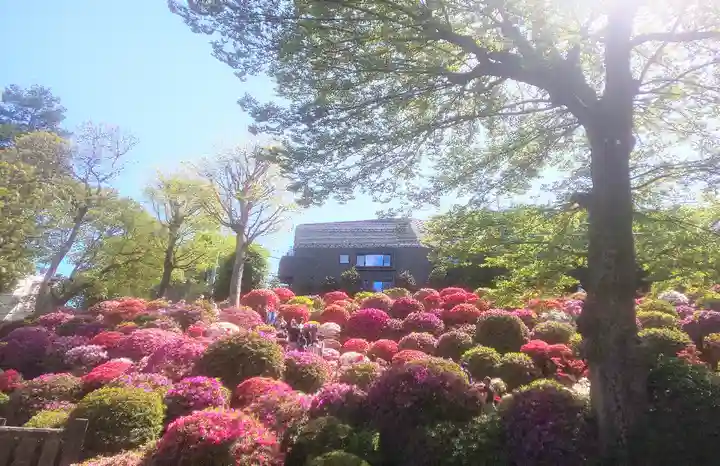根津神社の庭園