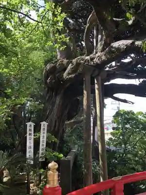 伊古奈比咩命神社のその他建物