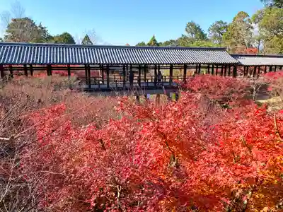 東福禅寺(東福寺)のその他建物