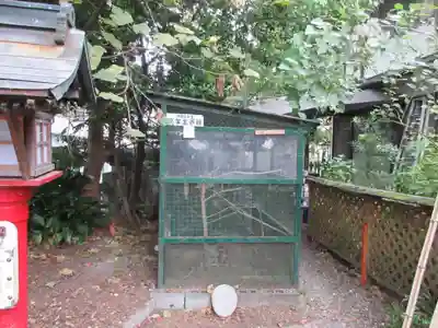 高知八幡宮(高知県)
