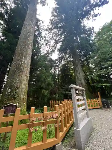 須山浅間神社のその他建物
