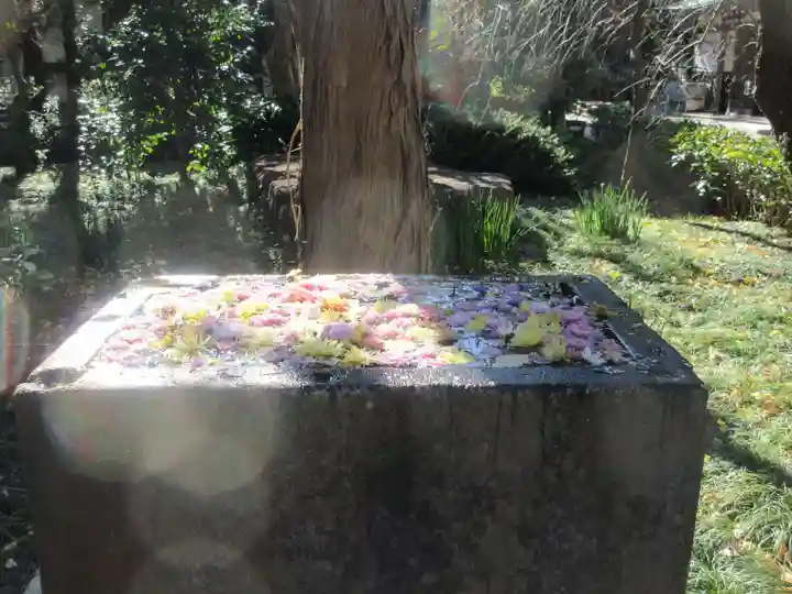 常立寺の手水舎