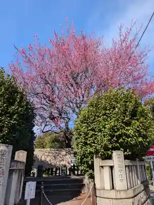 新井天神北野神社(東京都)