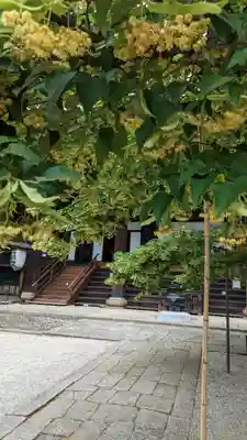 真正極楽寺(真如堂)(京都府)