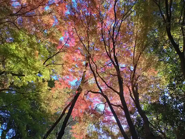 龍尾寺(大阪府)