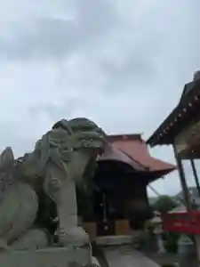 大鏑神社の狛犬(2020年09月01日(火) 09時36分48秒投稿)