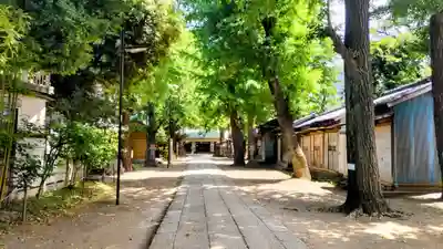 駒込天祖神社(東京都)