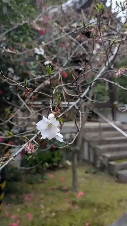 興聖寺(京都府)