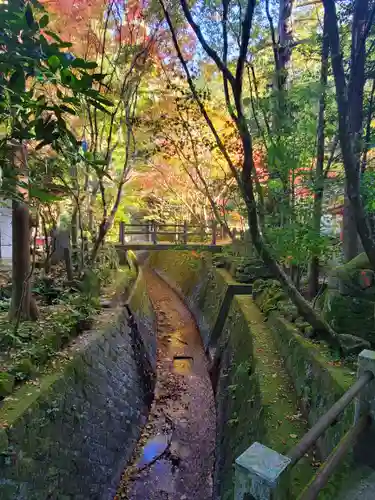 五所駒瀧神社(茨城県)
