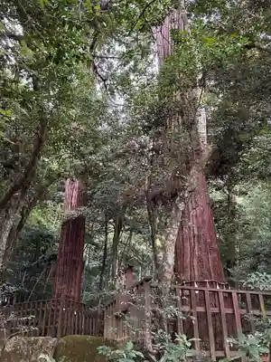 八重垣神社(島根県)