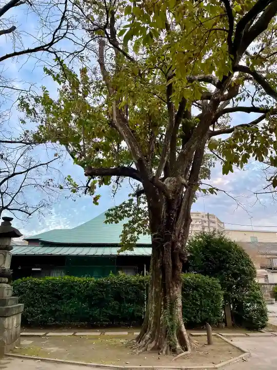 最勝寺教学院(東京都)