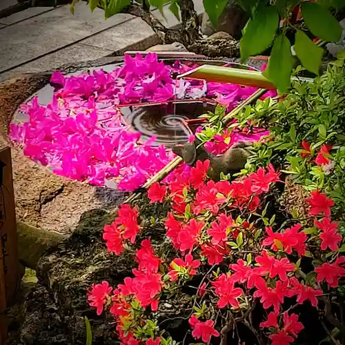 東京羽田 穴守稲荷神社の手水舎