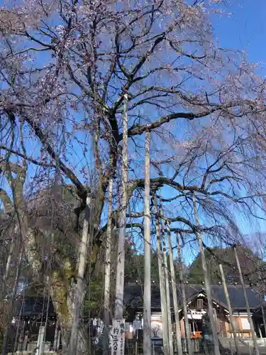 足羽神社(福井県)