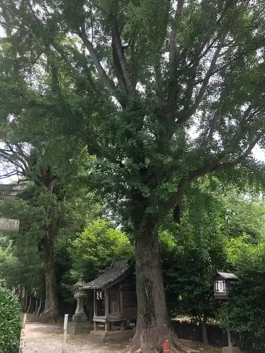 諏訪神社の自然