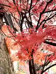 眞田神社の自然