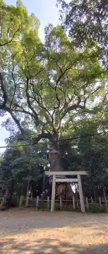 松阪神社(三重県)