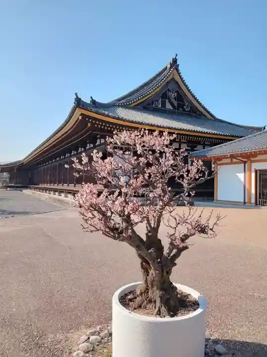 蓮華王院(三十三間堂)(京都府)