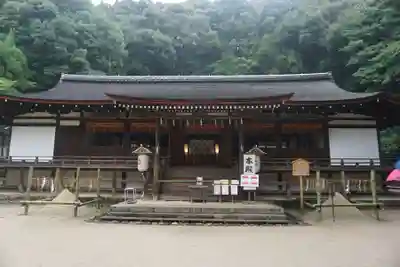 宇治上神社の本殿・本堂