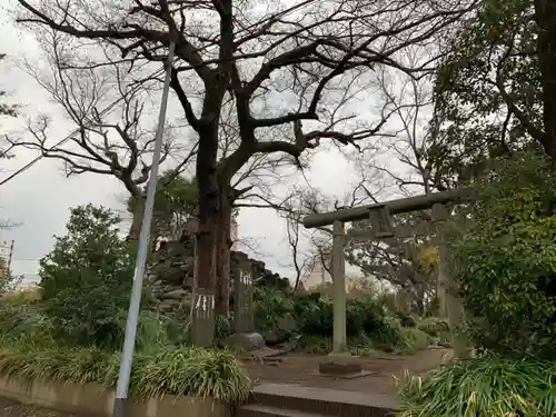 浅間神社の鳥居