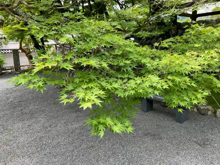 修禅寺(静岡県)