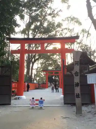 河合神社（鴨川合坐小社宅神社）の鳥居