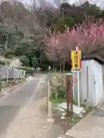 相武国造神社の周辺