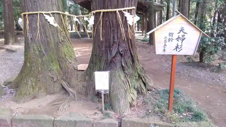 間々田八幡宮のその他建物