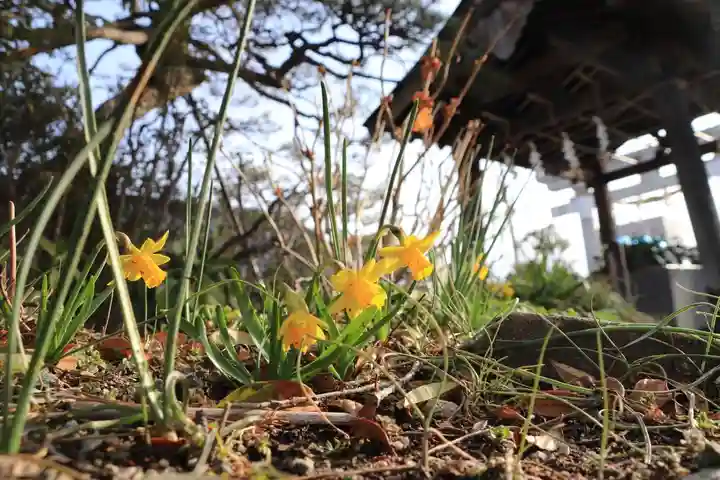 豊景神社の自然