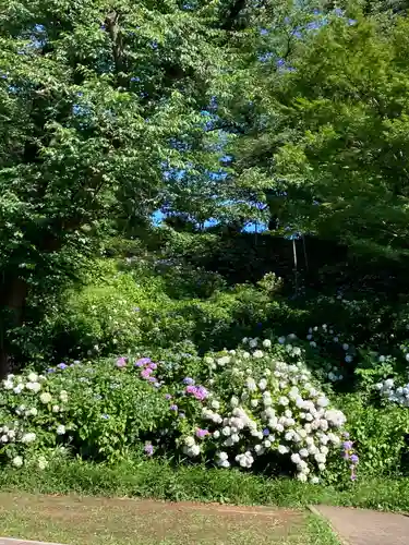 天台宗　長窪山　正覚寺(神奈川県)